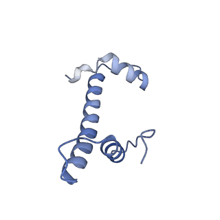 28915_8f86_F_v1-1
SIRT6 bound to an H3K9Ac nucleosome