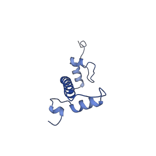 28915_8f86_G_v1-0
SIRT6 bound to an H3K9Ac nucleosome