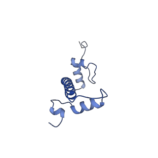 28915_8f86_G_v1-1
SIRT6 bound to an H3K9Ac nucleosome