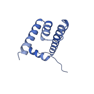 28915_8f86_H_v1-0
SIRT6 bound to an H3K9Ac nucleosome