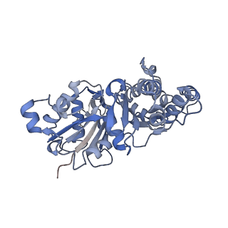 28933_8f8q_A_v1-1
Cryo-EM structure of the CapZ-capped barbed end of F-actin