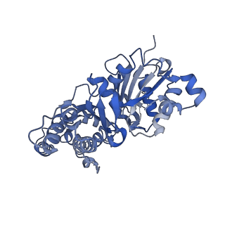 28933_8f8q_B_v1-1
Cryo-EM structure of the CapZ-capped barbed end of F-actin