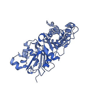 28933_8f8q_C_v1-1
Cryo-EM structure of the CapZ-capped barbed end of F-actin