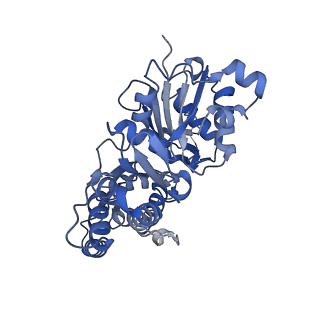 28933_8f8q_D_v1-1
Cryo-EM structure of the CapZ-capped barbed end of F-actin