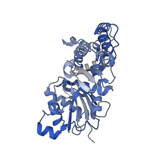 28933_8f8q_E_v1-1
Cryo-EM structure of the CapZ-capped barbed end of F-actin