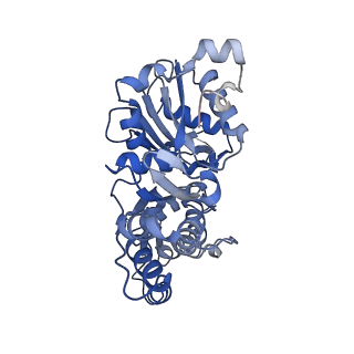 28933_8f8q_F_v1-1
Cryo-EM structure of the CapZ-capped barbed end of F-actin