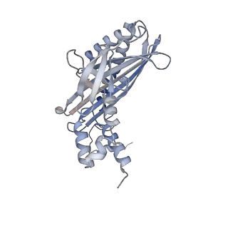 28933_8f8q_G_v1-1
Cryo-EM structure of the CapZ-capped barbed end of F-actin