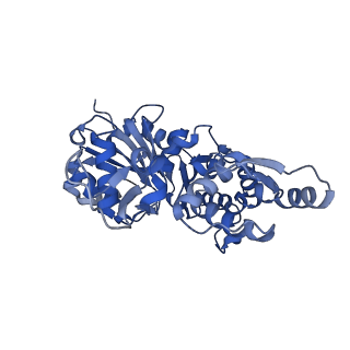 28934_8f8r_A_v1-1
Cryo-EM structure of the free barbed end of F-actin