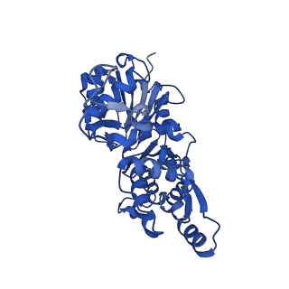 28934_8f8r_E_v1-1
Cryo-EM structure of the free barbed end of F-actin