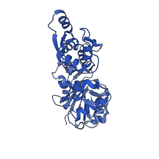28934_8f8r_F_v1-1
Cryo-EM structure of the free barbed end of F-actin