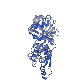 28934_8f8r_G_v1-1
Cryo-EM structure of the free barbed end of F-actin
