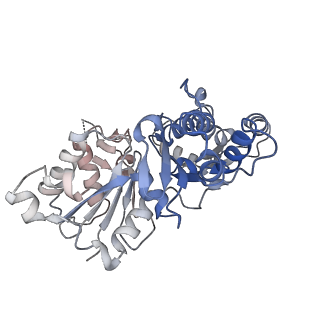 28935_8f8s_A_v1-1
Cryo-EM structure of the free pointed end of F-actin