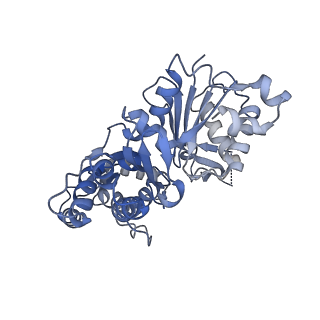28935_8f8s_B_v1-1
Cryo-EM structure of the free pointed end of F-actin