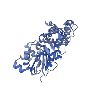 28935_8f8s_C_v1-1
Cryo-EM structure of the free pointed end of F-actin