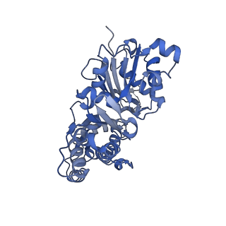 28935_8f8s_D_v1-1
Cryo-EM structure of the free pointed end of F-actin