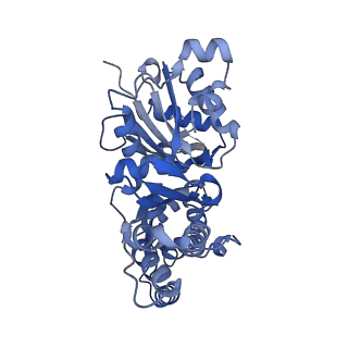 28935_8f8s_F_v1-1
Cryo-EM structure of the free pointed end of F-actin