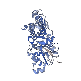28935_8f8s_G_v1-1
Cryo-EM structure of the free pointed end of F-actin