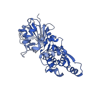 28936_8f8t_B_v1-1
Cryo-EM structure of the Tropomodulin-capped pointed end of F-actin