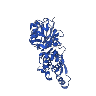 28936_8f8t_D_v1-1
Cryo-EM structure of the Tropomodulin-capped pointed end of F-actin