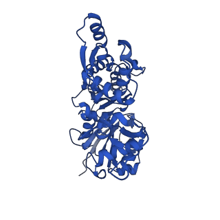 28936_8f8t_E_v1-1
Cryo-EM structure of the Tropomodulin-capped pointed end of F-actin