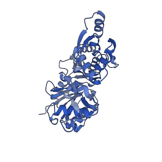 28936_8f8t_G_v1-1
Cryo-EM structure of the Tropomodulin-capped pointed end of F-actin