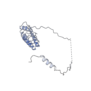 28936_8f8t_T_v1-1
Cryo-EM structure of the Tropomodulin-capped pointed end of F-actin