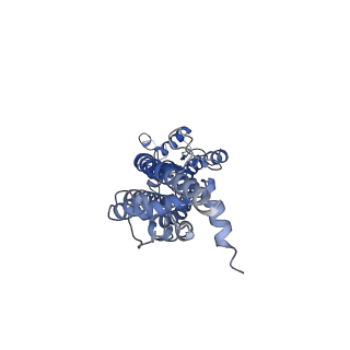 31489_7f8j_A_v1-2
Cryo-EM structure of human pannexin-1 in a nanodisc