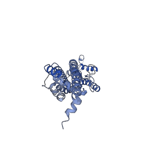 31489_7f8j_B_v1-2
Cryo-EM structure of human pannexin-1 in a nanodisc