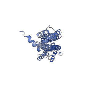 31489_7f8j_C_v1-2
Cryo-EM structure of human pannexin-1 in a nanodisc