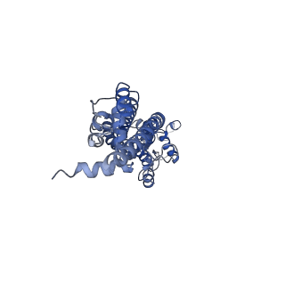31489_7f8j_D_v1-2
Cryo-EM structure of human pannexin-1 in a nanodisc