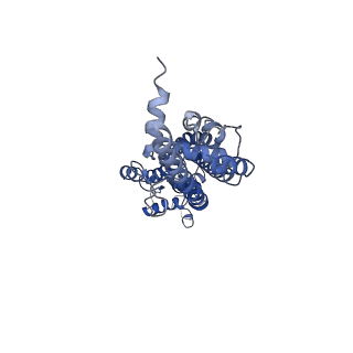 31489_7f8j_E_v1-2
Cryo-EM structure of human pannexin-1 in a nanodisc