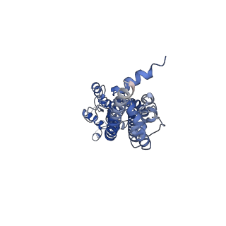 31489_7f8j_F_v1-2
Cryo-EM structure of human pannexin-1 in a nanodisc