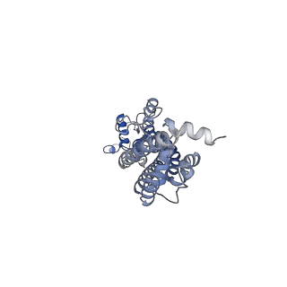 31491_7f8o_D_v1-2
Cryo-EM structure of the C-terminal deletion mutant of human PANX1 in a nanodisc