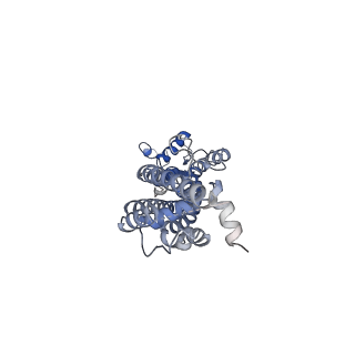 31491_7f8o_E_v1-2
Cryo-EM structure of the C-terminal deletion mutant of human PANX1 in a nanodisc