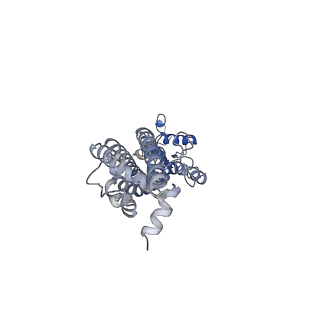 31491_7f8o_F_v1-2
Cryo-EM structure of the C-terminal deletion mutant of human PANX1 in a nanodisc