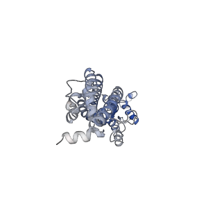 31491_7f8o_G_v1-2
Cryo-EM structure of the C-terminal deletion mutant of human PANX1 in a nanodisc
