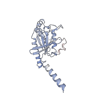 31493_7f8v_A_v1-1
Cryo-EM structure of the cholecystokinin receptor CCKBR in complex with gastrin-17 and Gi