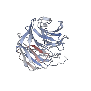 31493_7f8v_B_v1-1
Cryo-EM structure of the cholecystokinin receptor CCKBR in complex with gastrin-17 and Gi