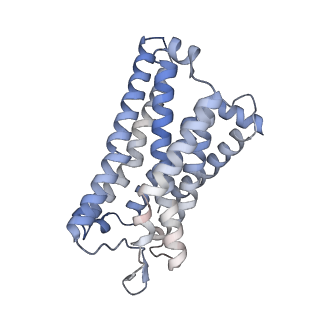 31493_7f8v_R_v1-1
Cryo-EM structure of the cholecystokinin receptor CCKBR in complex with gastrin-17 and Gi