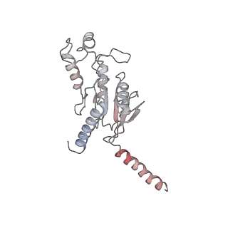 31494_7f8w_A_v1-1
Cryo-EM structure of the cholecystokinin receptor CCKBR in complex with gastrin-17 and Gq
