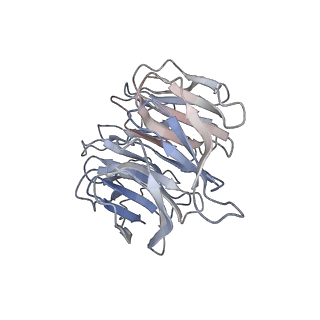 31494_7f8w_B_v1-1
Cryo-EM structure of the cholecystokinin receptor CCKBR in complex with gastrin-17 and Gq