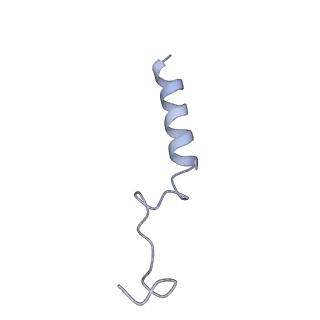31494_7f8w_C_v1-1
Cryo-EM structure of the cholecystokinin receptor CCKBR in complex with gastrin-17 and Gq