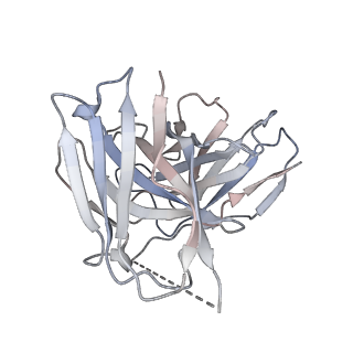 31494_7f8w_D_v1-1
Cryo-EM structure of the cholecystokinin receptor CCKBR in complex with gastrin-17 and Gq