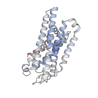 31494_7f8w_R_v1-1
Cryo-EM structure of the cholecystokinin receptor CCKBR in complex with gastrin-17 and Gq