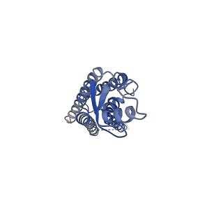 31495_7f92_B_v1-2
Structure of connexin43/Cx43/GJA1 gap junction intercellular channel in LMNG/CHS detergents at pH ~8.0