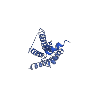 31496_7f93_H_v1-2
Structure of connexin43/Cx43/GJA1 gap junction intercellular channel in nanodiscs with soybean lipids at pH ~8.0