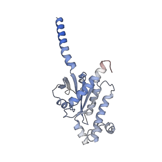 31501_7f9z_A_v1-0
GHRP-6-bound ghrelin receptor in complex with Gq