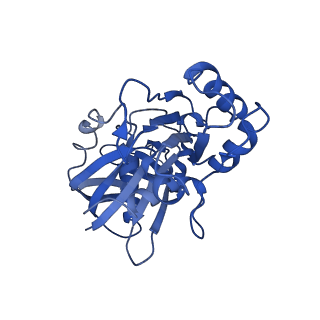 4196_6f95_A_v1-1
AlfA from B. subtilis plasmid pLS32 filament structure at 3.4 A