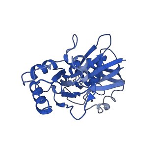 4196_6f95_B_v1-1
AlfA from B. subtilis plasmid pLS32 filament structure at 3.4 A