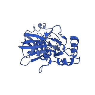 4196_6f95_C_v1-1
AlfA from B. subtilis plasmid pLS32 filament structure at 3.4 A